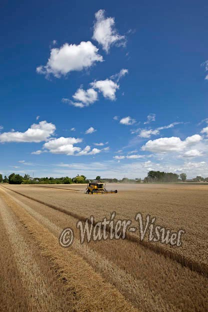 0952D354
