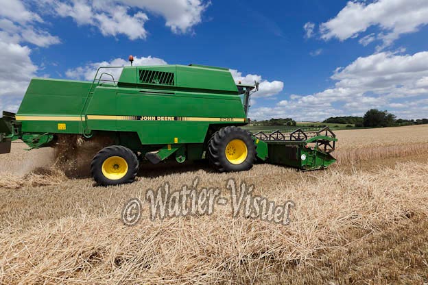 0955D594