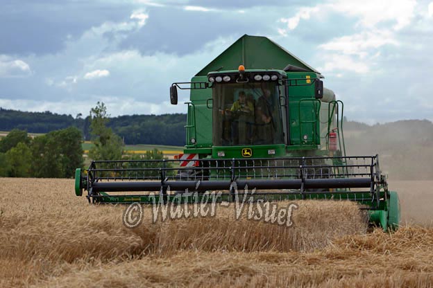 0995D181