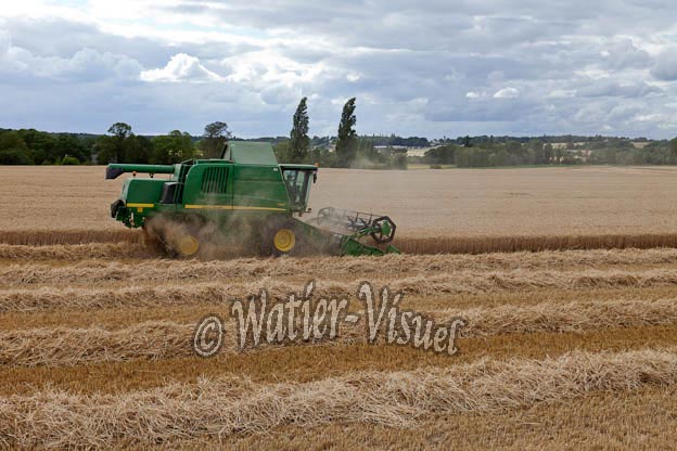 0995D250
