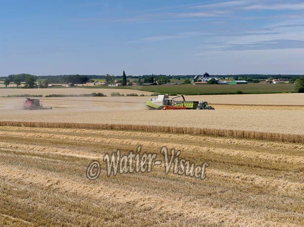 0995D397