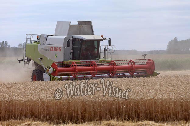 0995D608