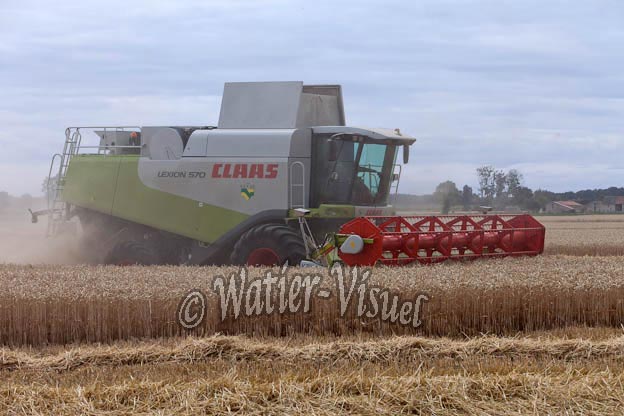 0995D609