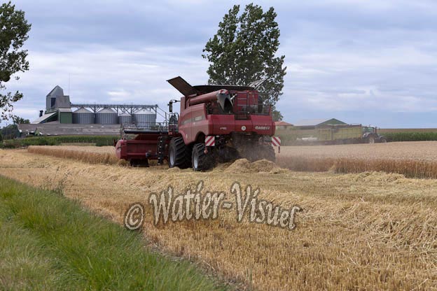 0995D629