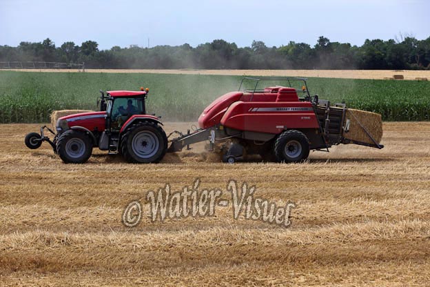 1017D650