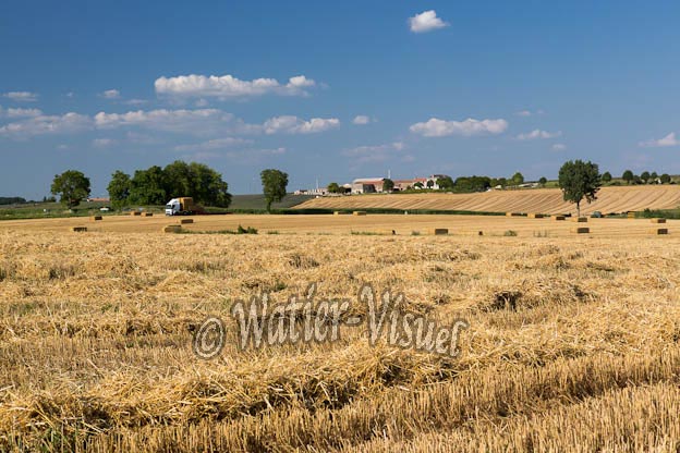 1036D904