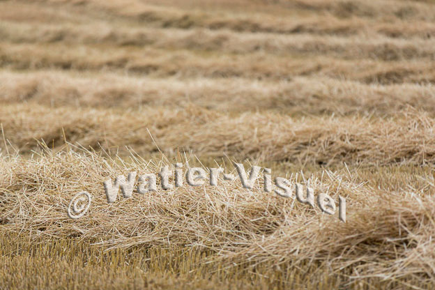 1121D085