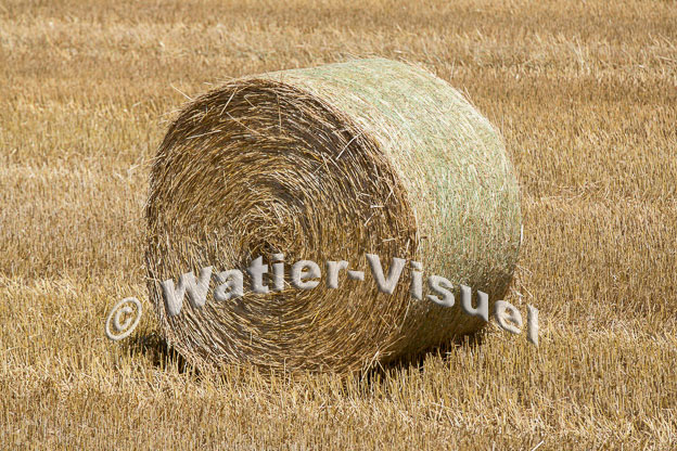 1121D107