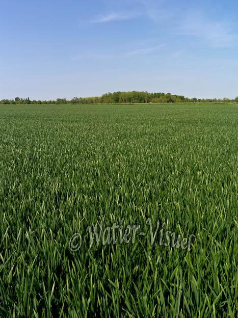 0991D839