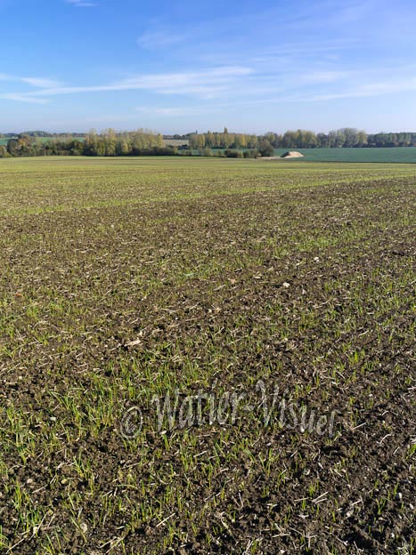 1019D398