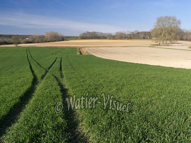 1026D404