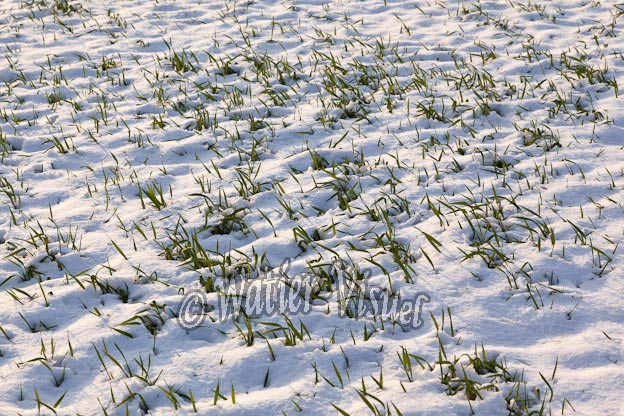 1023D995
