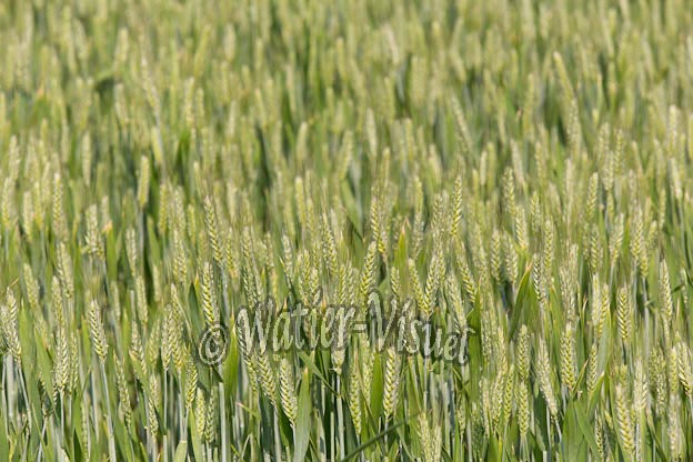 1037D140