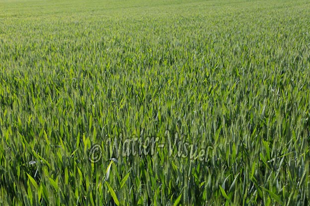1037D180