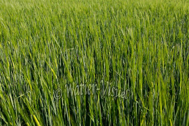 1037D345