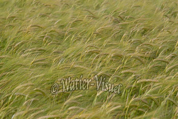 1037D373