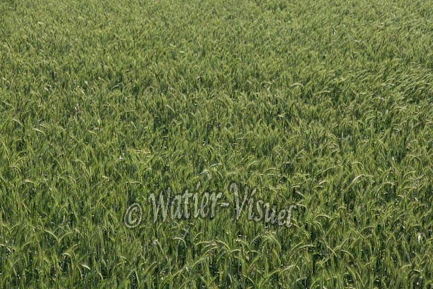 1037D543