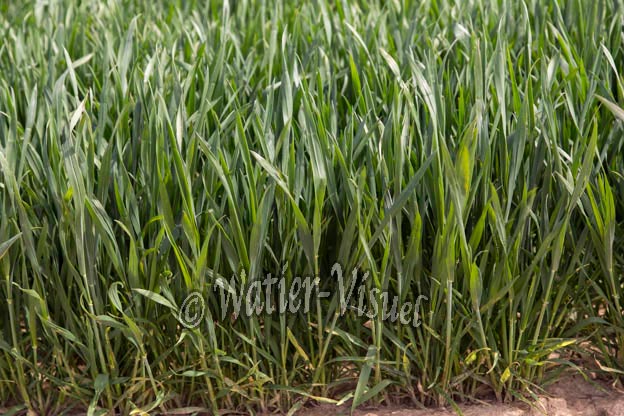 1048D069