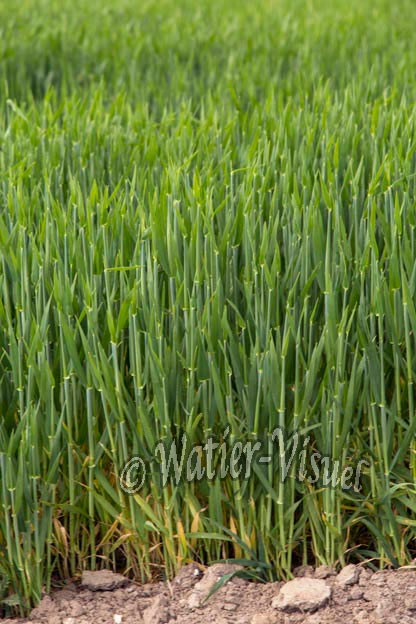 1048D098