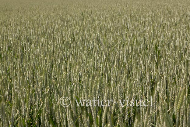 1148D086