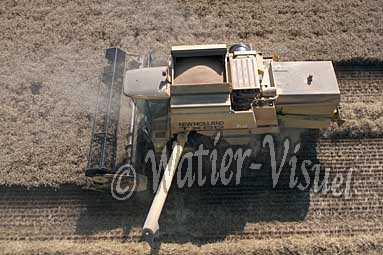 0484D209