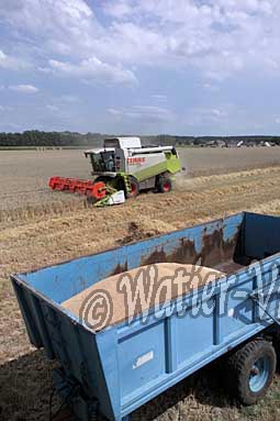 0485D150