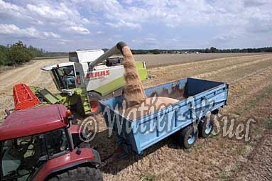 0485D153