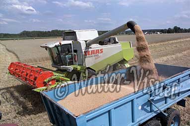 0485D159