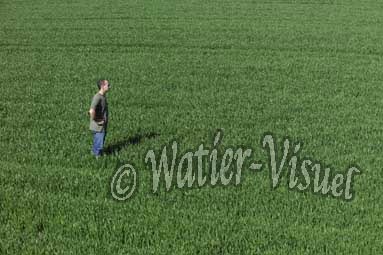 0533D120