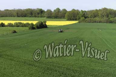 0537D250
