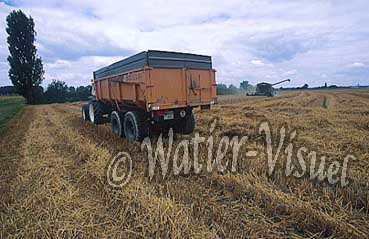 2307417