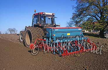 2405711