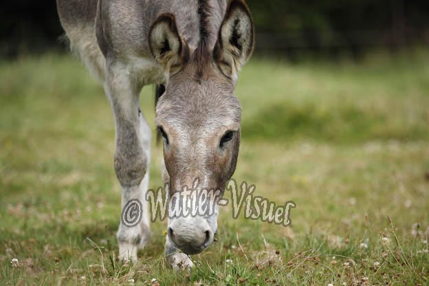 0858D816