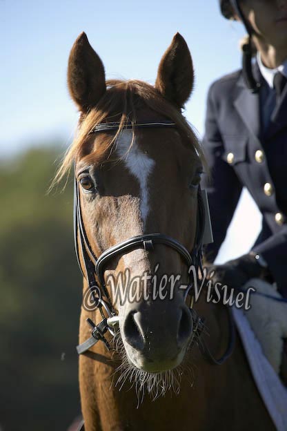 0782D144