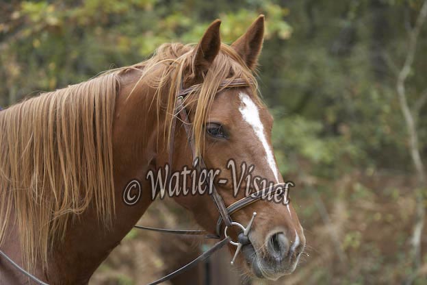 0783D052