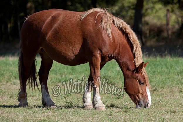 1003D328