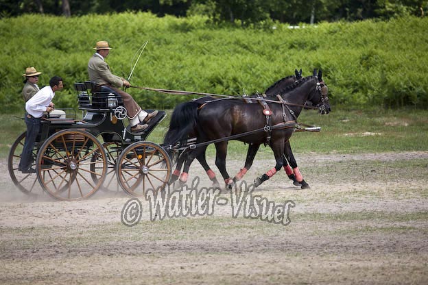 0878D338