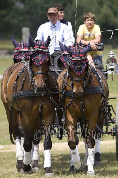 0878D407