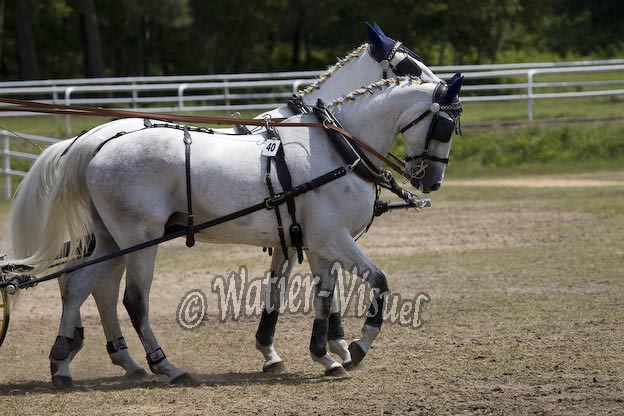 0878D568