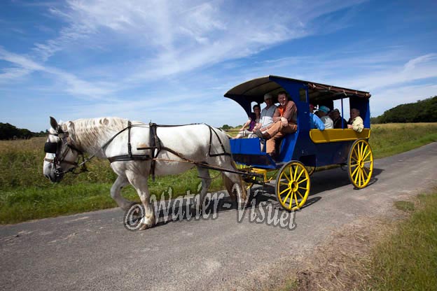 0935D769