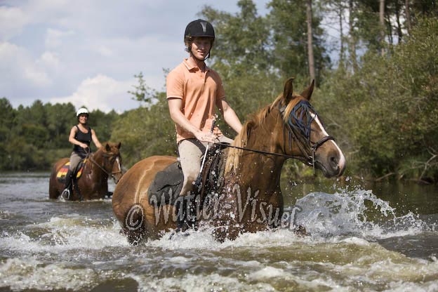 0859D445