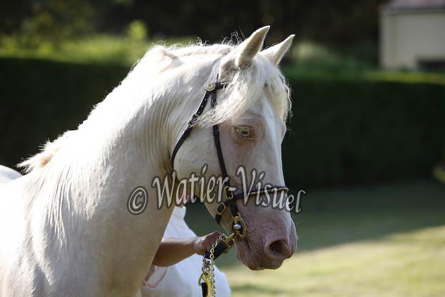 0846D248