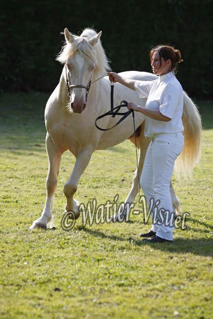 0846D309