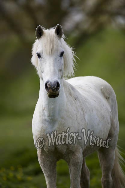 0866D397
