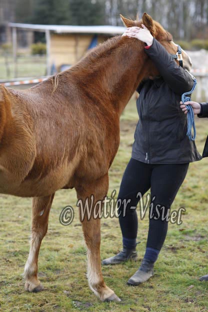 0824D090