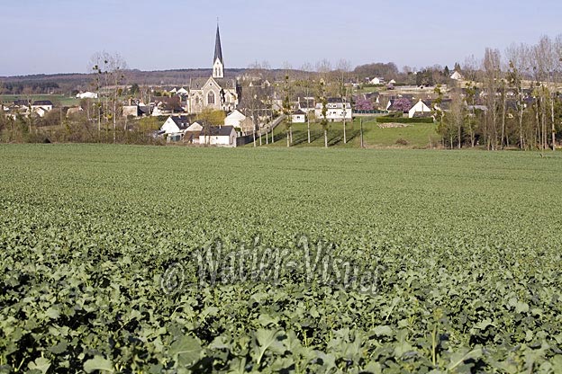 0651D017