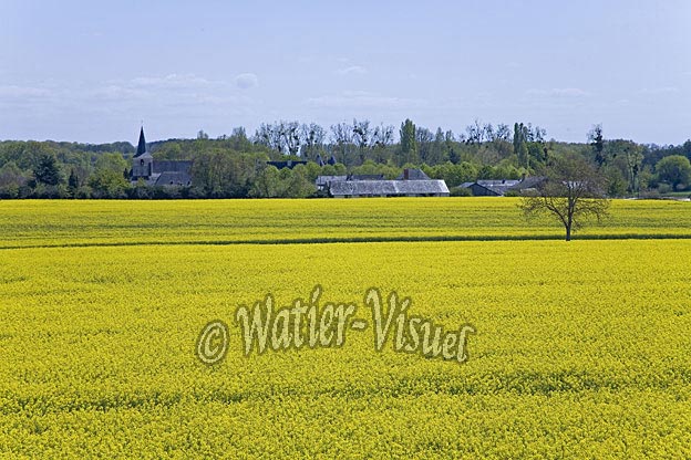 0655D080