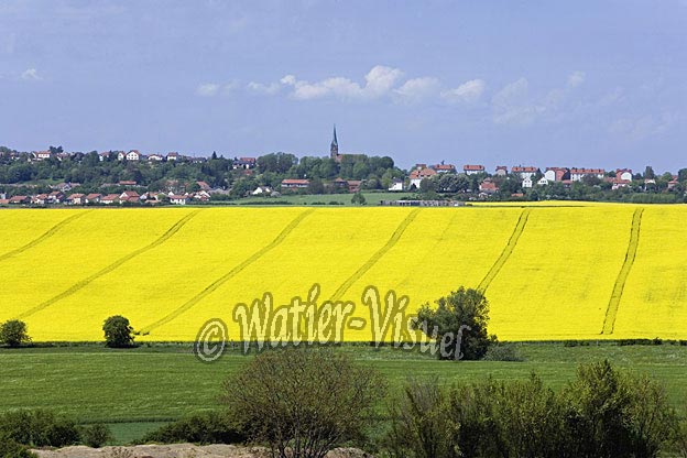 0658D018