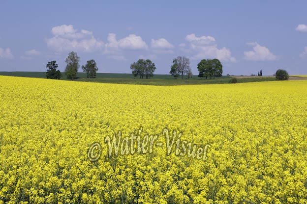 0868D637