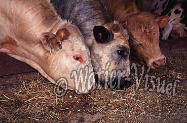 0701310